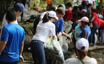 Actividades de fundaciones para participar mientras ayudas a una buena causa