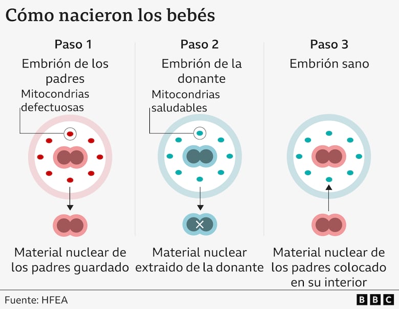 Bebés de 3 personas: los 8 niños que nacieron libres de enfermedades hereditarias en Reino Unido gracias a un método genético pionero