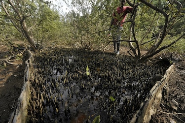 35 horas para llegar al pozo petrolero en Darién