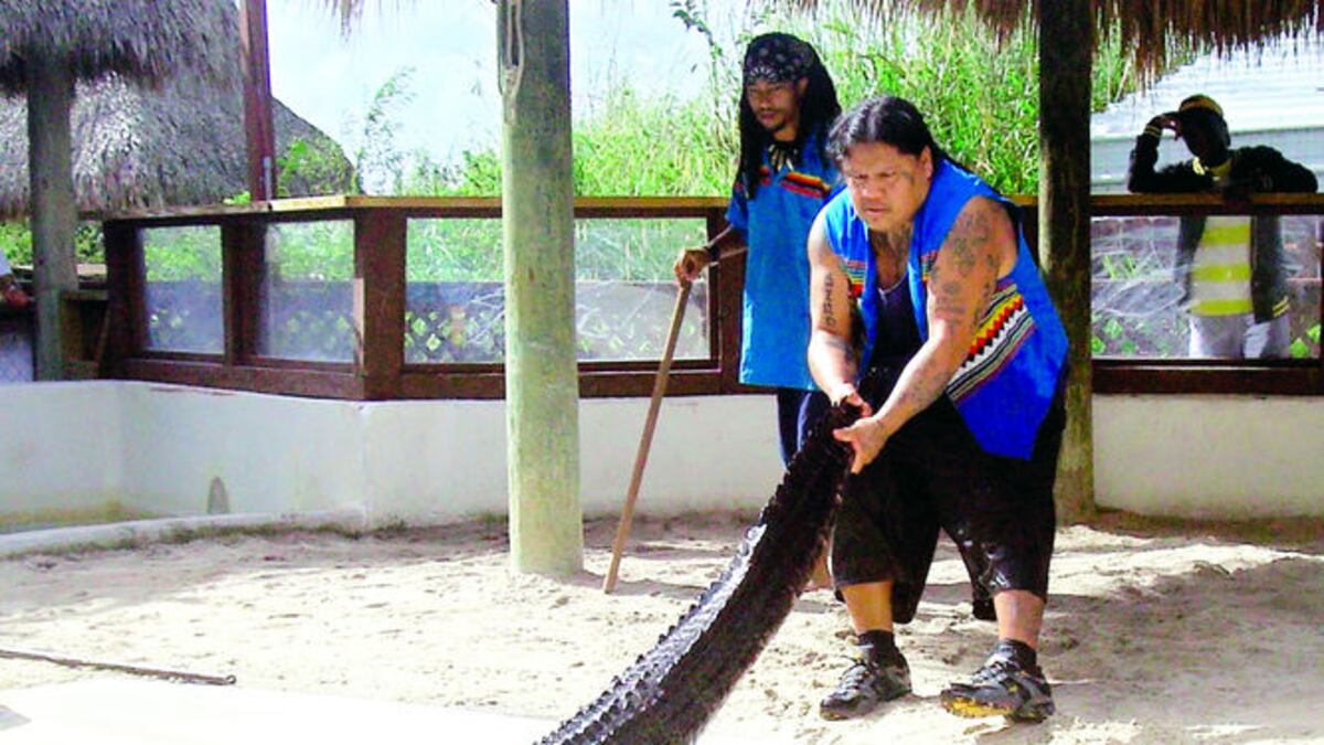 Rocky Jim Jr., indígena de la comunidad, mikasuki, tiene 44 años y 33 años de luchar con caimanes.