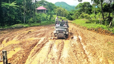 Obra amenaza área ecológica