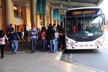 Cinco empresas compiten por licitación de 70 buses medianos de MiBus