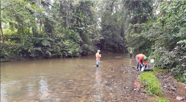 Empresas tendrán una hora para reportar daño ecológico