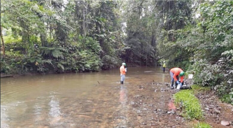 Empresas tendrán una hora para reportar daño ecológico