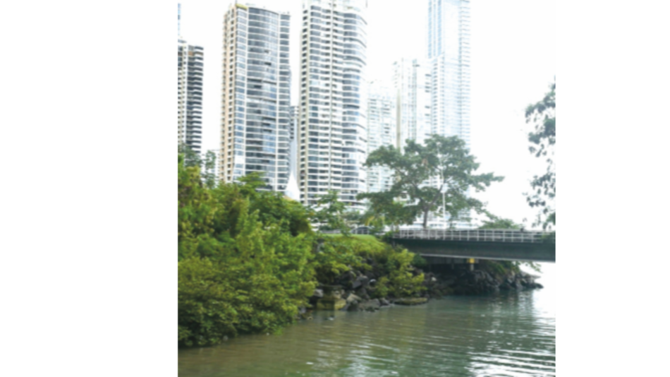 Avanza la licitación del colector del Matasnillo, por $60 millones