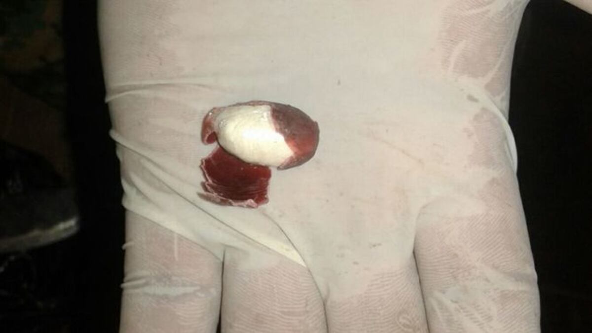 Decomisan 7 mil cápsulas con cocaína envueltas en cáscaras de frijoles