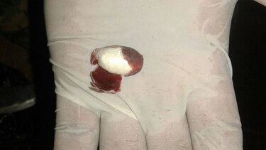 Decomisan 7 mil cápsulas con cocaína envueltas en cáscaras de frijoles