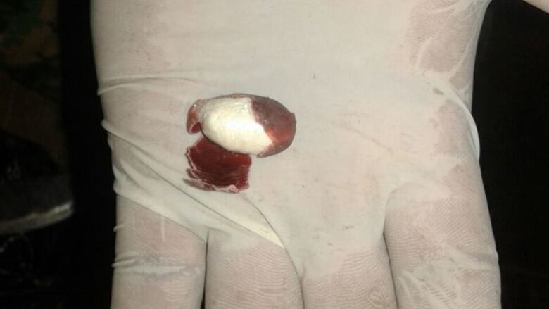 Decomisan 7 mil cápsulas con cocaína envueltas en cáscaras de frijoles