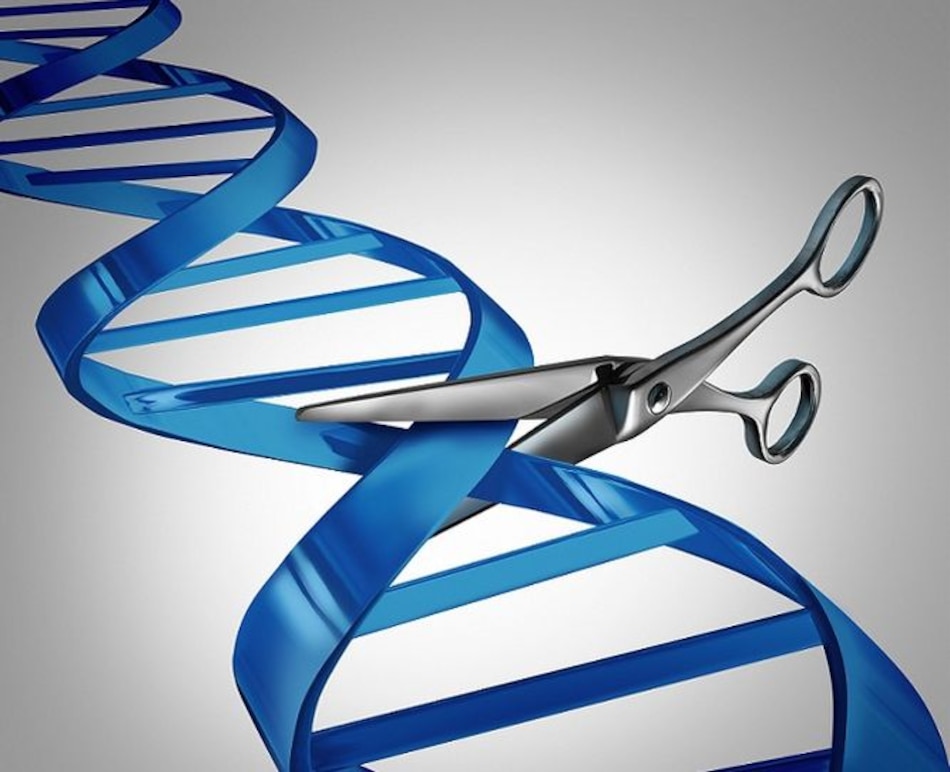 El futuro de la ingeniería genética para tratar enfermedades