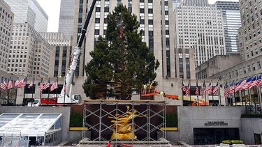 Instalan el árbol de Navidad en el Rockefeller Center