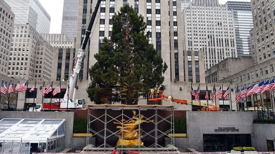 Instalan el árbol de Navidad en el Rockefeller Center