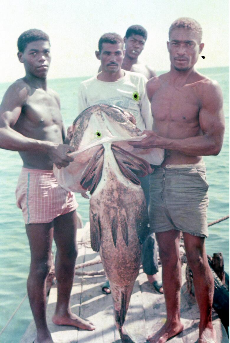 Estanislao y la zarda del arrecife 