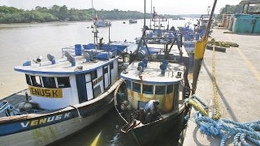 Industria pesquera, a la deriva