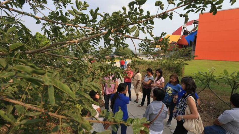Biomuseo espera llegar a 200 mil visitantes este año