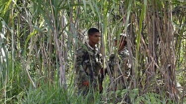 Juan Manuel Santos levanta suspensión de bombardeos a las FARC