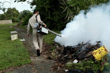 Costa Rica cerrará el 2013 con récord de unos 50 mil casos de dengue