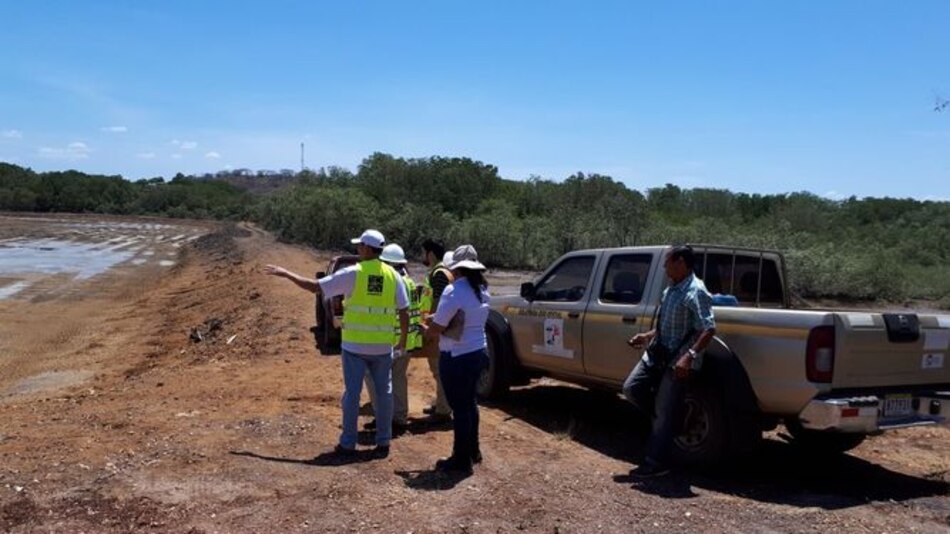 Aún no se sanciona al responsable de talar 11 hectáreas de manglares en Los Santos
