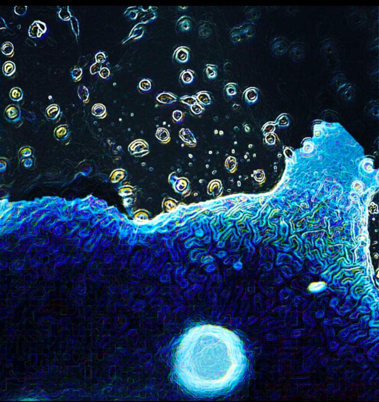 Científico panameño crea material innovador para el tratamiento de la vejiga