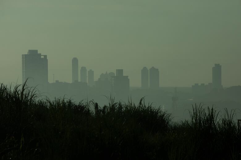 Aire contaminado por incendios en cerro Patacón: una bomba de tiempo