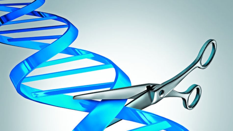 Ingeniería genética