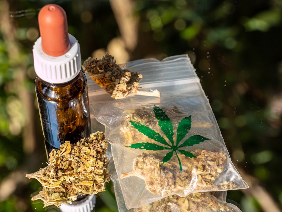 ¿Por qué el cannabis medicinal aún no llega a los pacientes en Panamá?