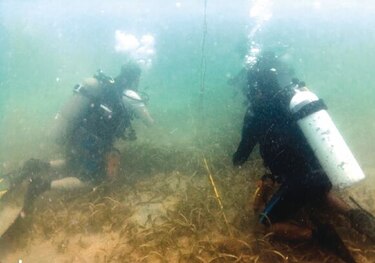 El arqueólogo y el mar