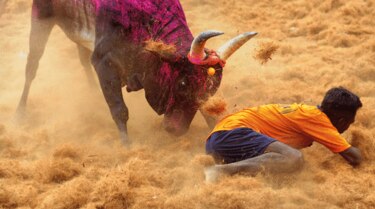 Dos personas mueren corneadas por toros escapados de un rodeo en India