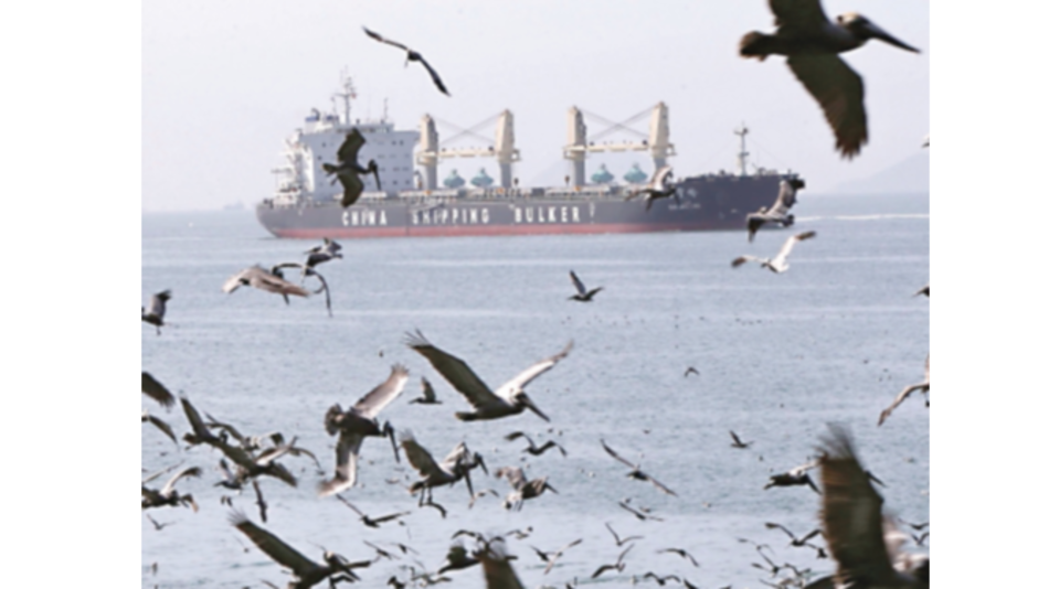 Animal Planet transmitirá documental sobre Panamá