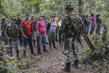 Fiscalía de Colombia ha otorgado 52 amnistías a miembros de FARC