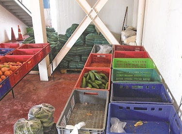 Distorsión, escasez y alza de precios en el agro