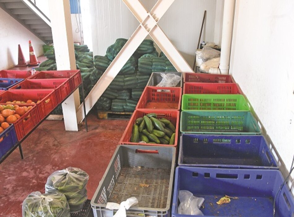 Distorsión, escasez y alza de precios en el agro