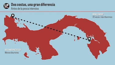 ¿Están a salvo los tiburones del Pacífico panameño? Un estudio pone la lupa sobre la pesca