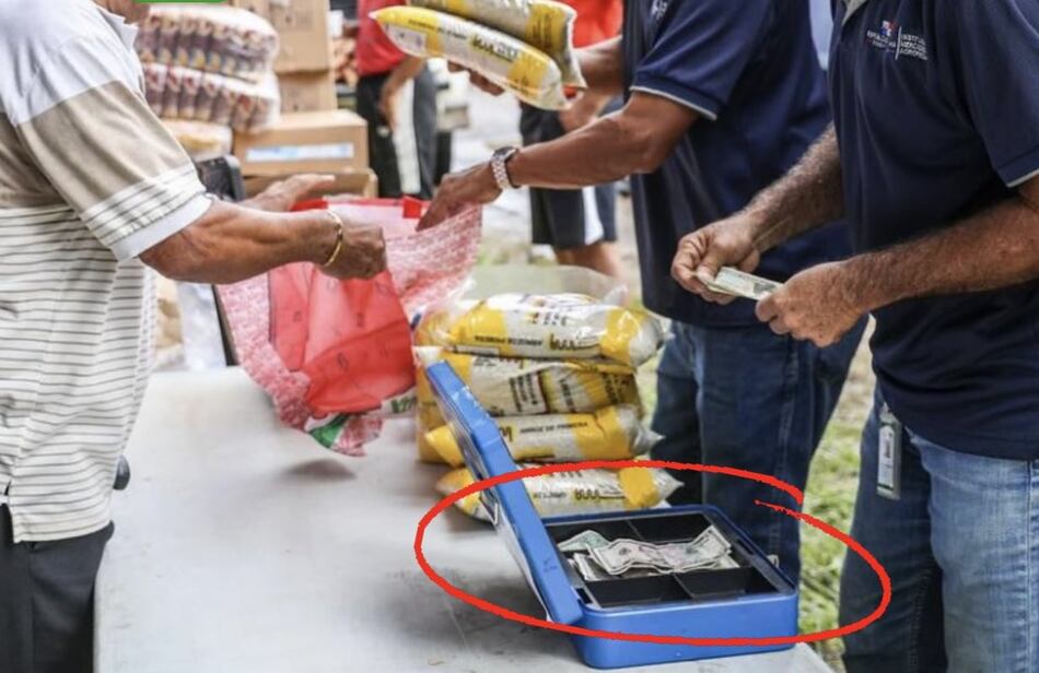 IMA vende en efectivo y no entrega factura; ‘¿Cómo se garantiza que ese ‘chen chen’ entre al fondo del Estado?’, dice diputado