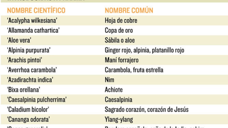 Panamá y su flora introducida