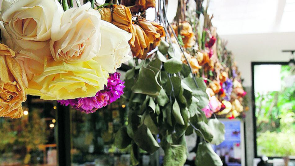 Asesorarán a líderes de pequeñas empresas