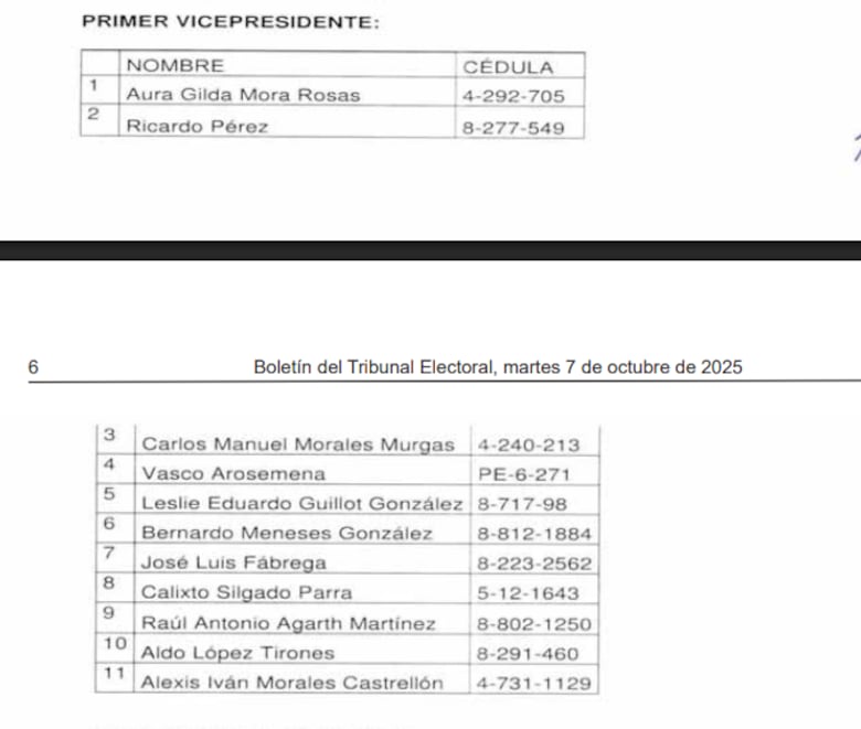 José Luis Fábrega, Arquesio Arias y Aldo López Tirone, entre los candidatos al CEN; esta es la lista oficial de los postulados