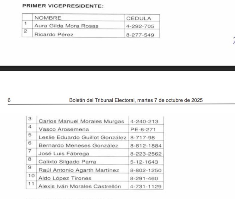 José Luis Fábrega, Arquesio Arias y Aldo López Tirone, entre los candidatos al CEN; esta es la lista oficial de los postulados