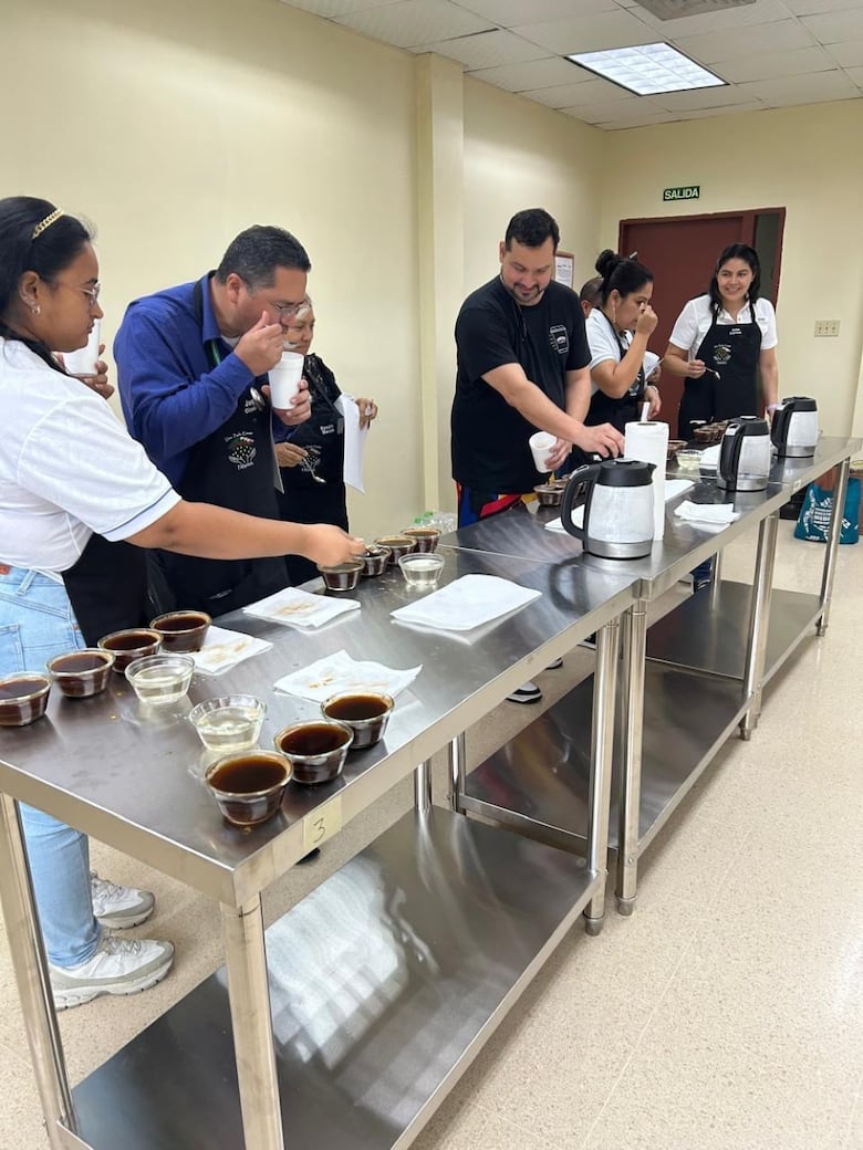 Geisha panameño bajo análisis molecular: la ciencia del café que conquista el mundo