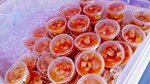 CEVICHES SIN TIBURÓN, ‘PORQUE HAY OTROS PECES EN EL MAR’