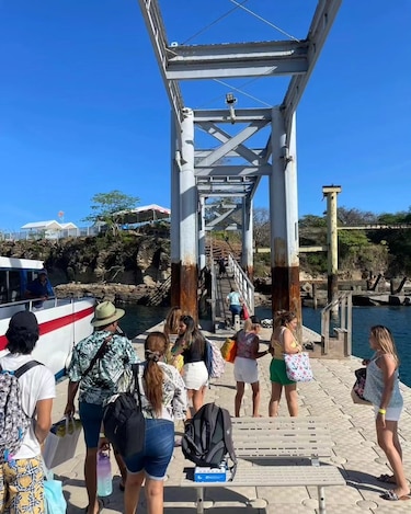 Funcionario y concesionario, a la vez: los nexos de un pariente de Gaby Carrizo con la AMP y la ATTT