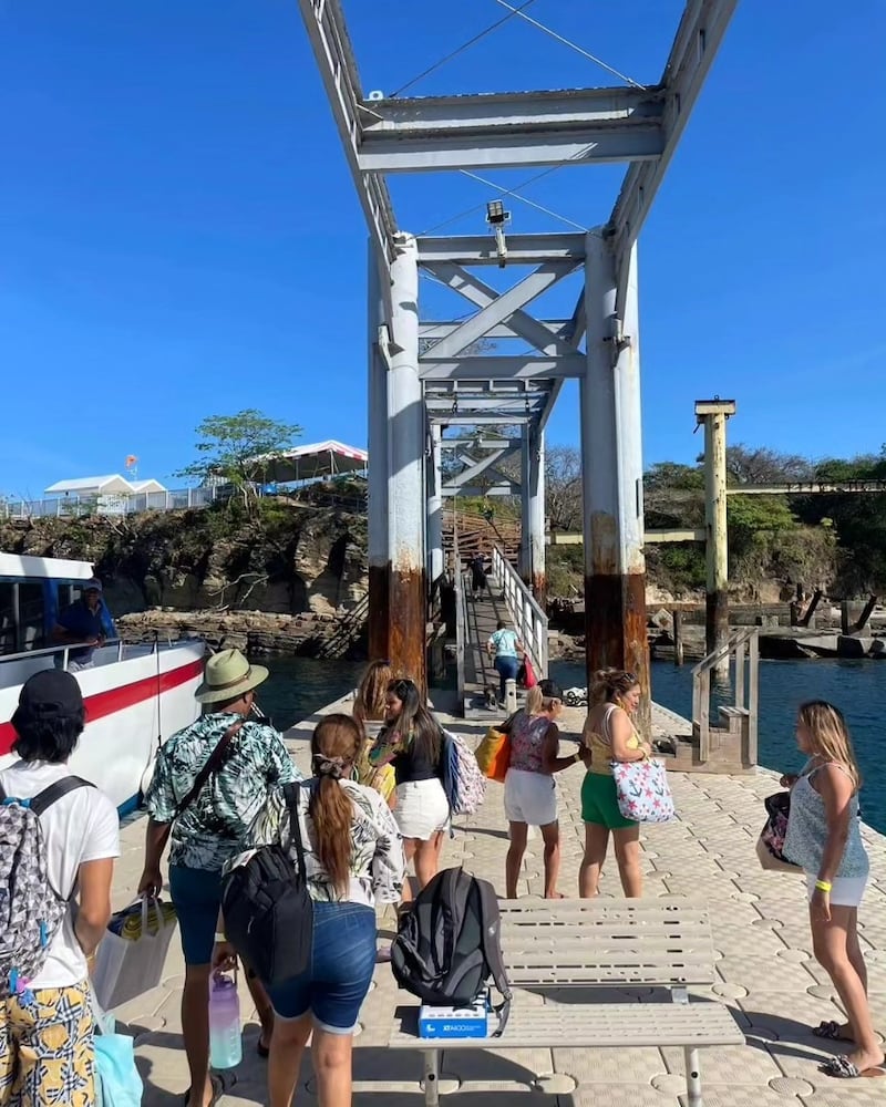 Funcionario y concesionario, a la vez: los nexos de un pariente de Gaby Carrizo con la AMP y la ATTT