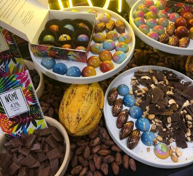 Se reanuda el envío de cacao de Bocas del Toro al mercado nacional e internacional