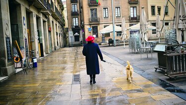 Crearán ley contra devolución canina