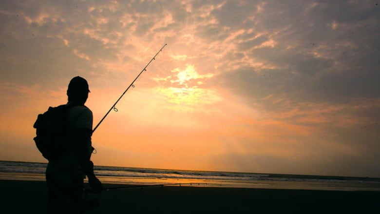 Un pacífico salvaje