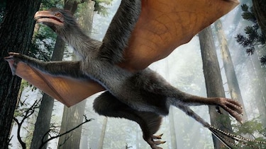 Encuentran en China restos de un dinosaurio