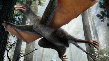 Encuentran en China restos de un dinosaurio