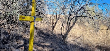 Las cruces en el desierto: ‘El sueño americano es un genocidio’