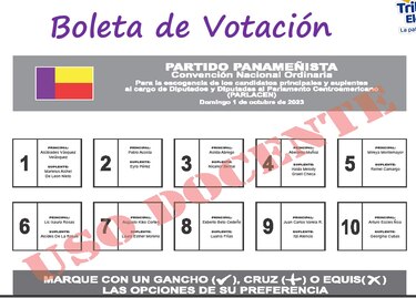 Panameñistas definen este domingo sus candidatos al Parlacen