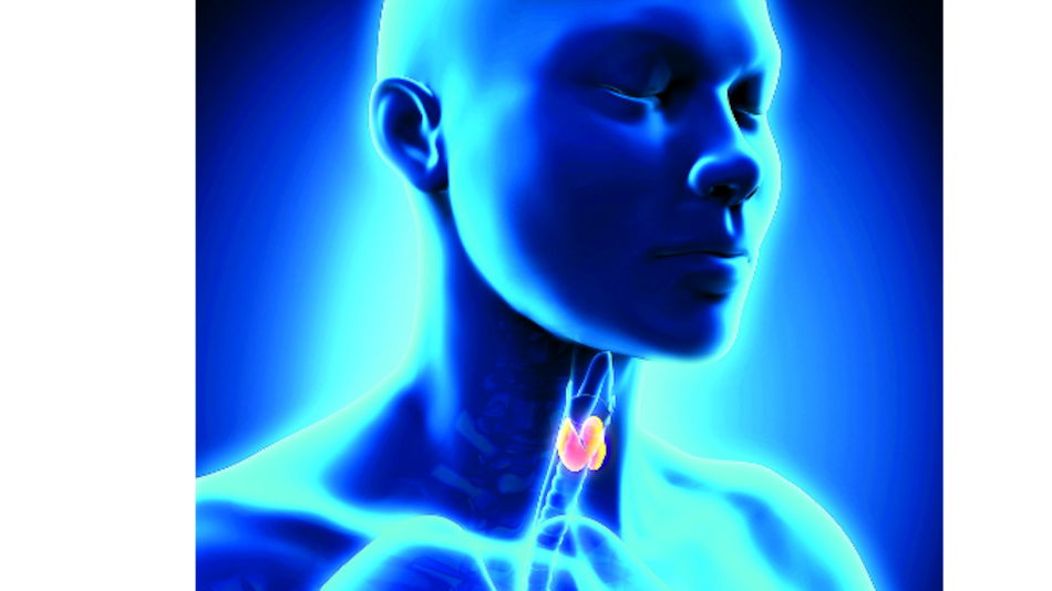 El hipotiroidismo por dentro