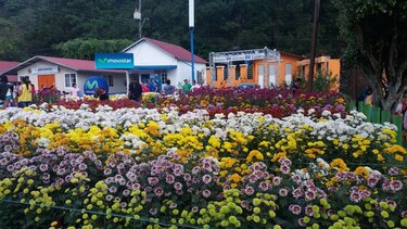 Feria Internacional en Boquete recibe más de 100 mil personas